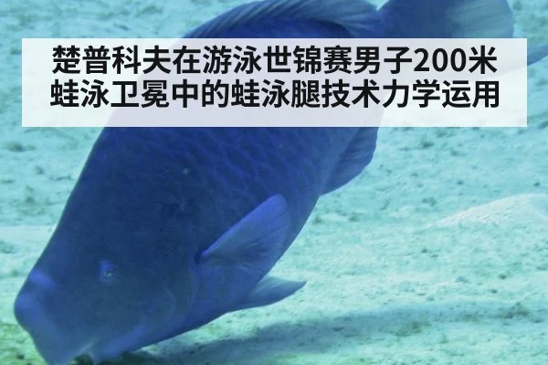 楚普科夫在游泳世锦赛男子200米蛙泳卫冕中的蛙泳腿技术力学运用